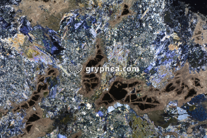 Métagabbro à Glaucophanite LPA x3,5 - gryphea.org